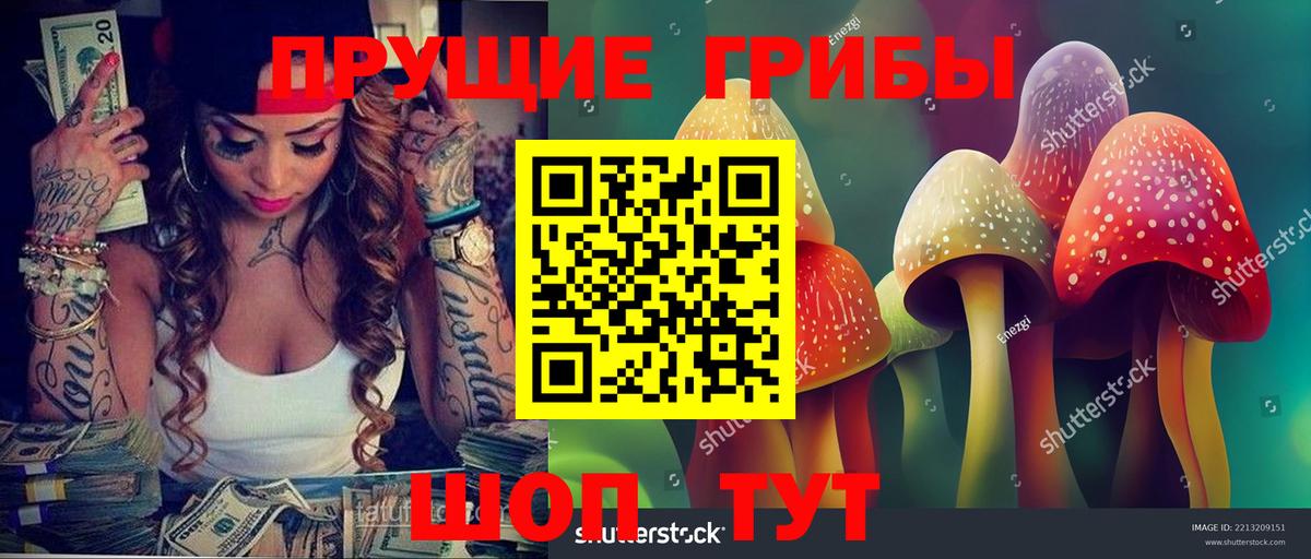 Галлюциногенные грибы GOLDEN TEACHER  Вход с VPN  Нижнекамск  Галлюциногенные грибы MAGIC MUSHROOMS 